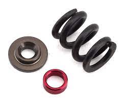 TLR HD Slipper Spring Set, SHDS